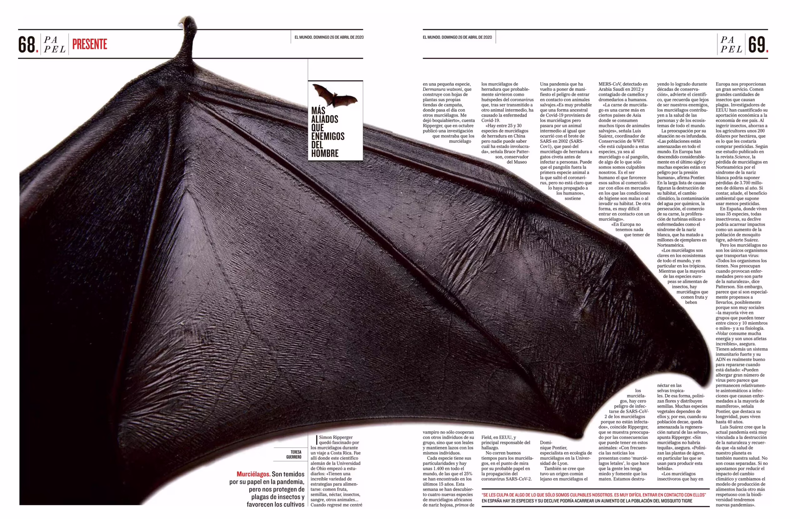 PAPEL (Revista diaria del diario EL MUNDO)