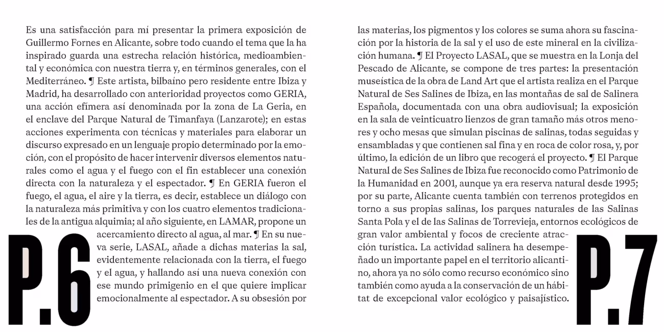 Catálogo exposición LASAL, de Guillermo Fornes, en La Lonja del Pescado, Alicante